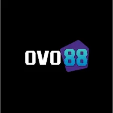 OVO88 - Aplikasi Musik Terbaik untuk Penggemar Musik